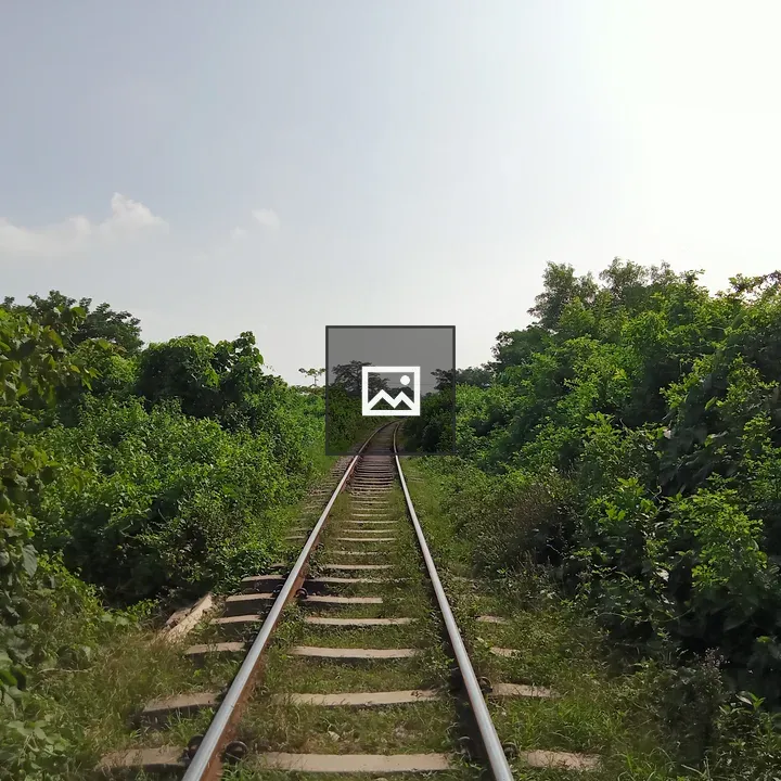 Railway Tracks Through Greenery