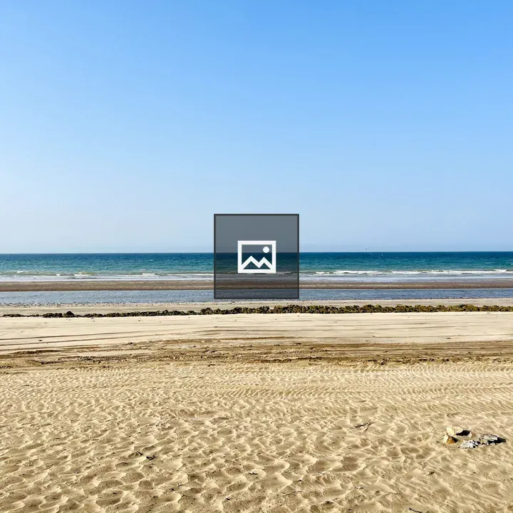 Serene Beach Landscape
