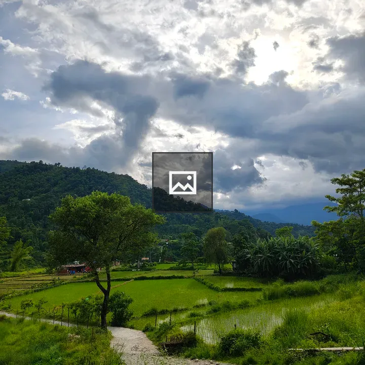 Scenery Nature Portrait