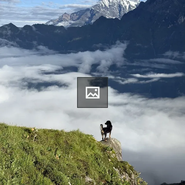 Dog on grassy cliff edge
