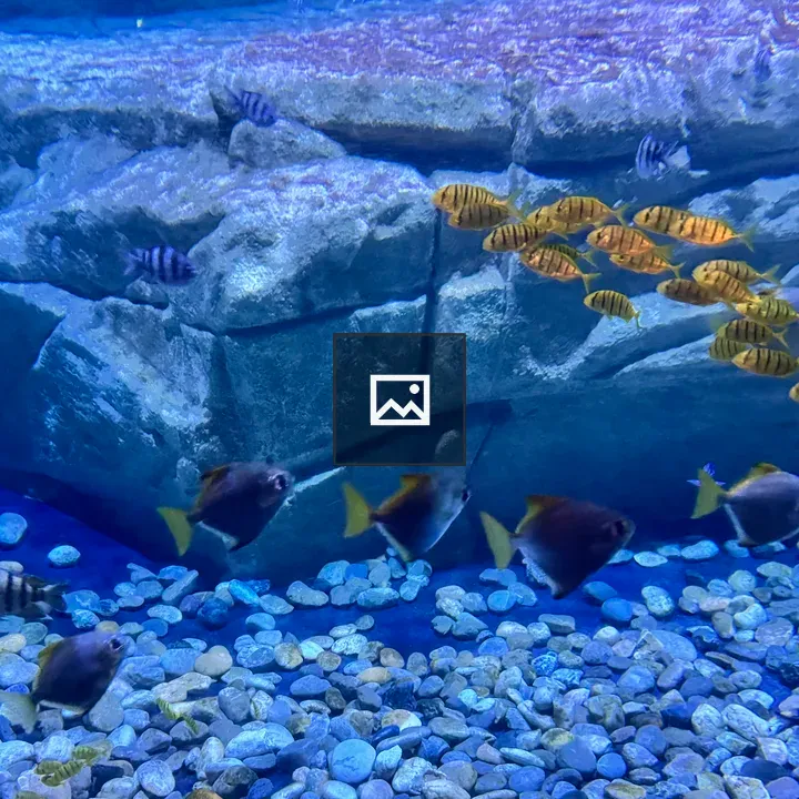 Underwater Scene with Fish