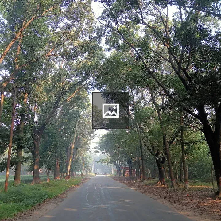 Road Inside Jahangirnagar University