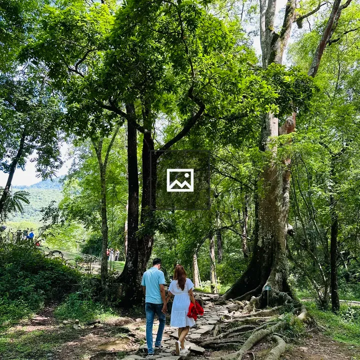 Couple Walking in Park