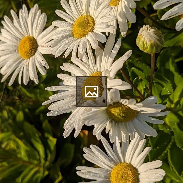 Flowers: white and yellow bouquet