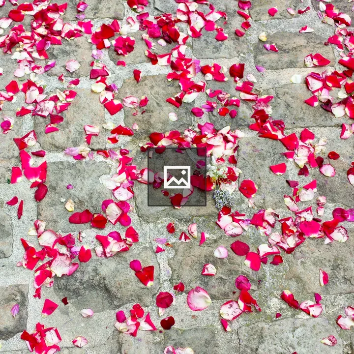 Rose Petals on Cobblestones