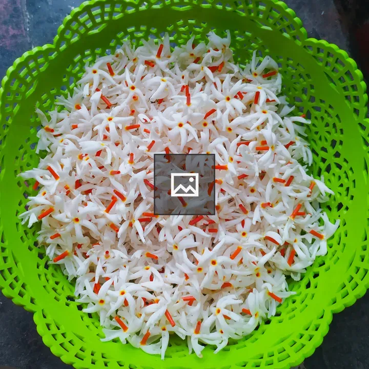 White flowers with orange stems in a green basket