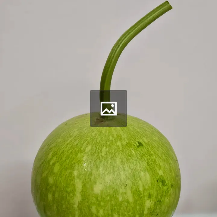 Bottle gourd on metal plate