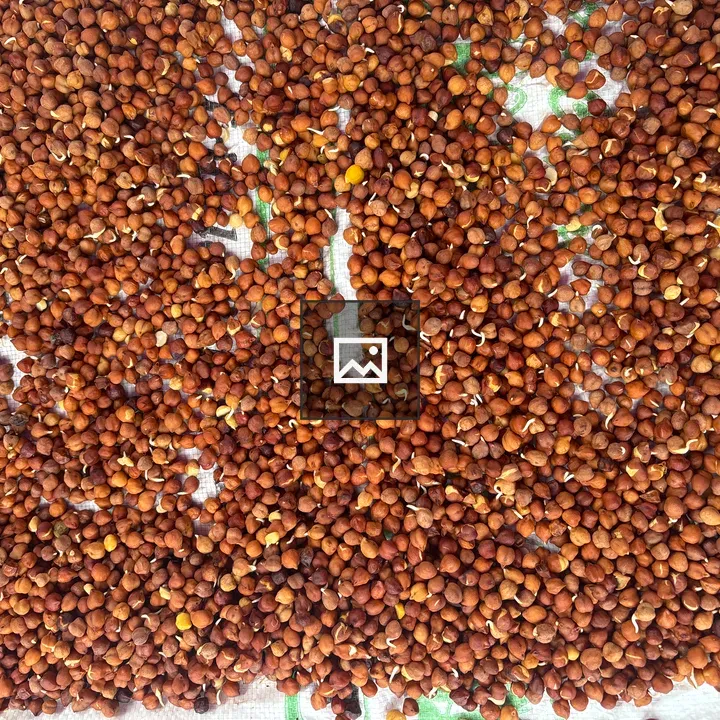 Chickpeas Seeds Pattern