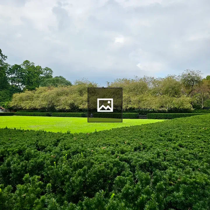 Green park lawn with shrubs and trees