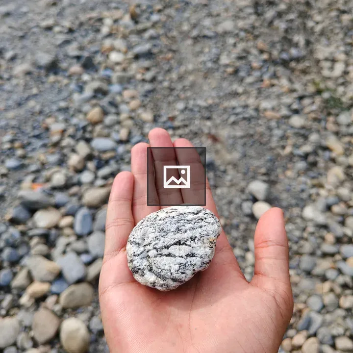 Hand Holding Oval Rock