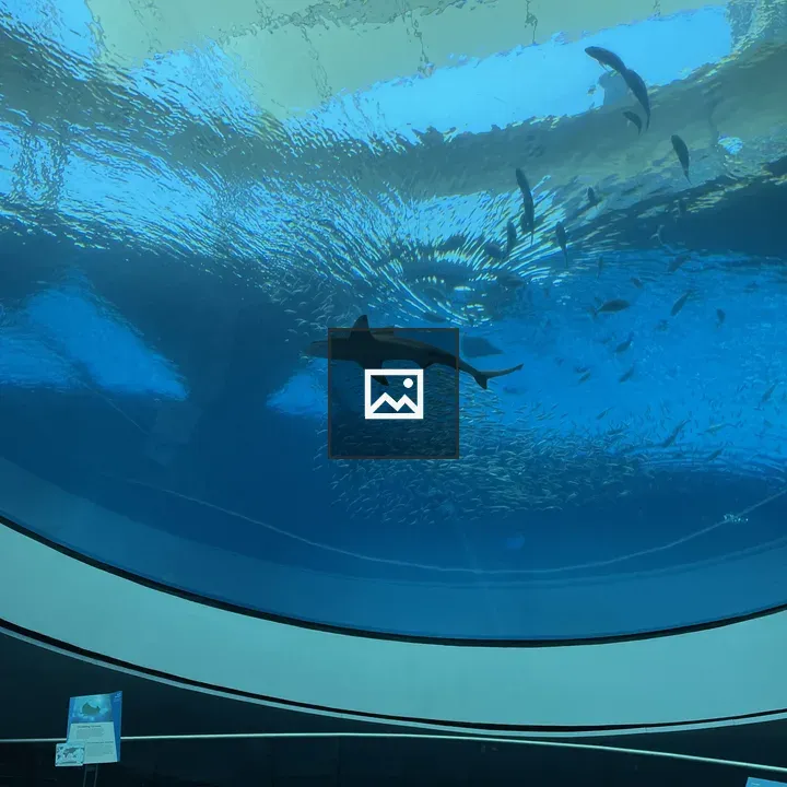 Sharks in Aquarium