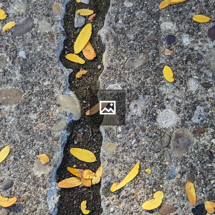 Small yellow leaves on concrete