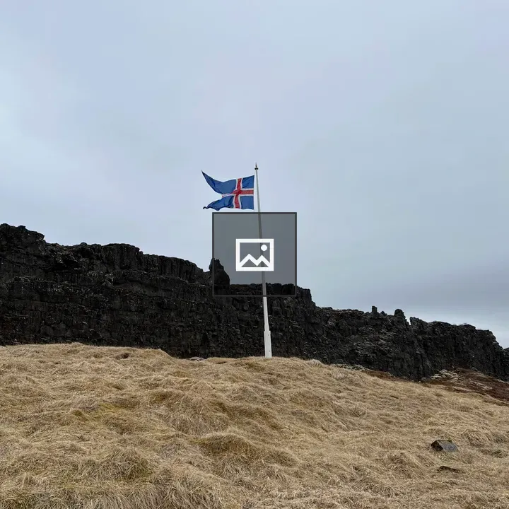 Iceland Flag Over Dried Grasses