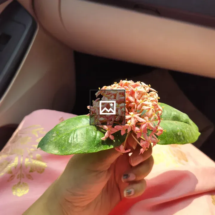 Hand with pink flowers