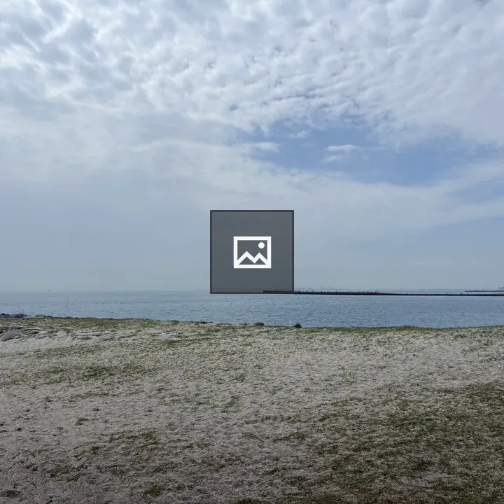 Sandy Beach at Tokyo Bay