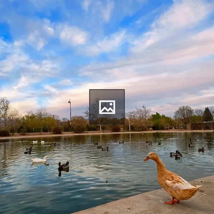 Park scene with ducks by pond