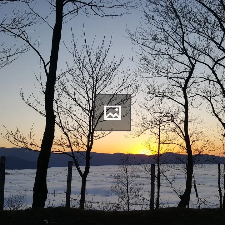 Sunset over forest at dusk