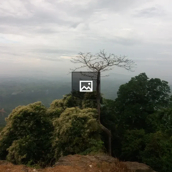 Sajek Valley View from Above