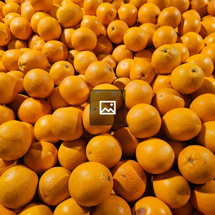 Valencia Oranges in Market