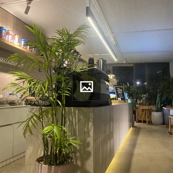 Cozy Café Interior with Plants