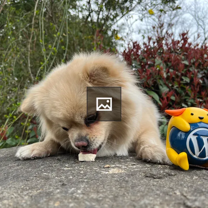 Wapuu and puppy on rock