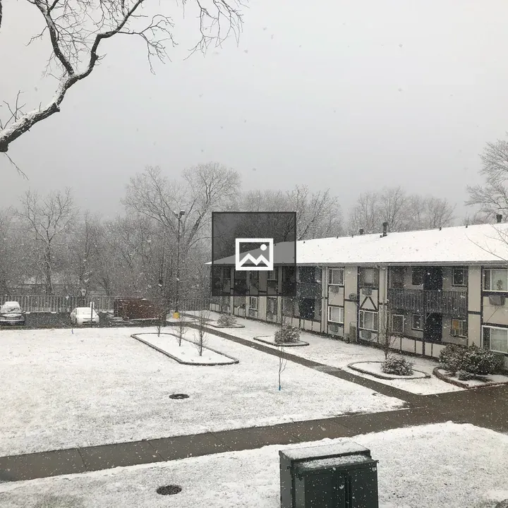 Winter scene with snowfall around a home