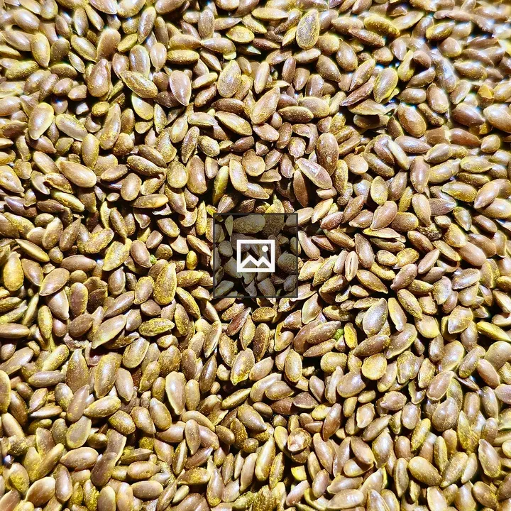 Toasted flaxseeds close view