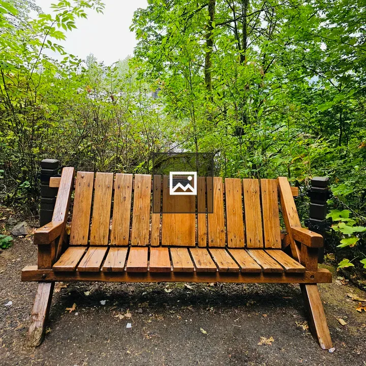 Wooden bench along trail