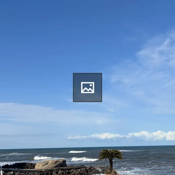 Coastal rocky shoreline with palm