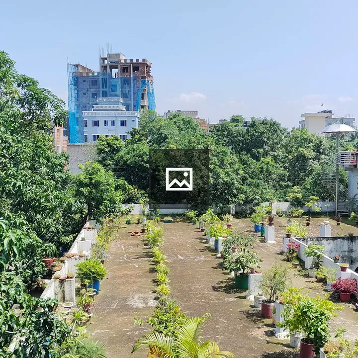 Rooftop garden with lush greenery