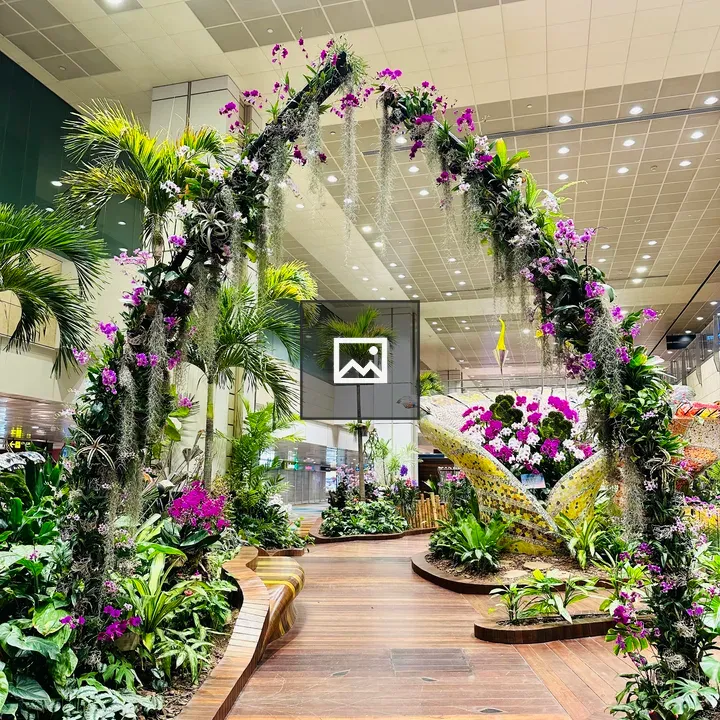 Changi Airport Garden Corner