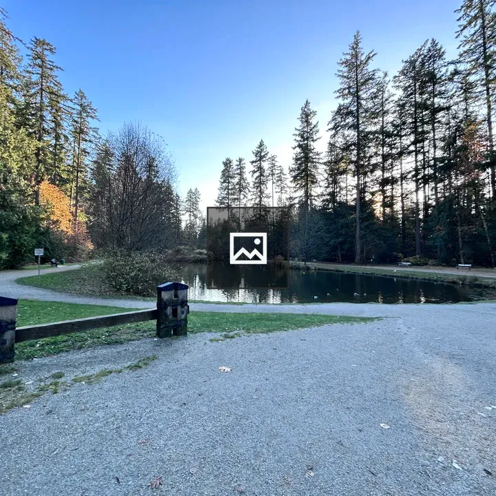 Pond at Central Park in Burnaby