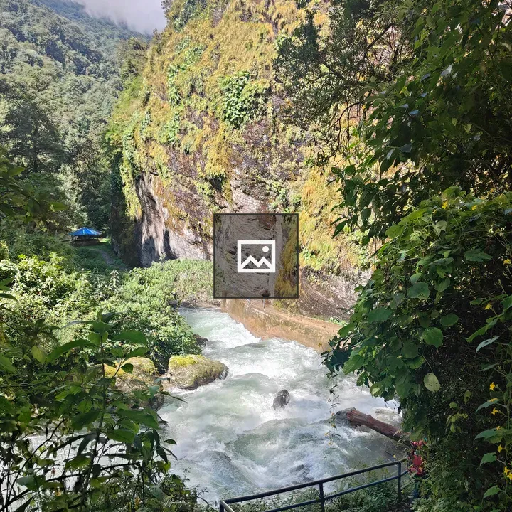 Rushing River in Green Landscape