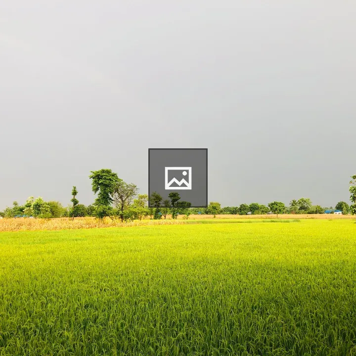 Village Nepal