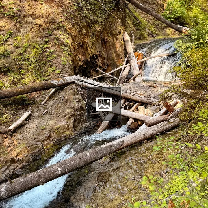 Creek in rocky forest