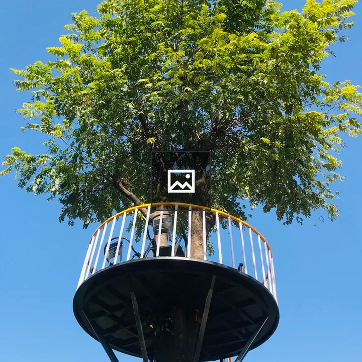 Treehouse Structure with Circular Balcony