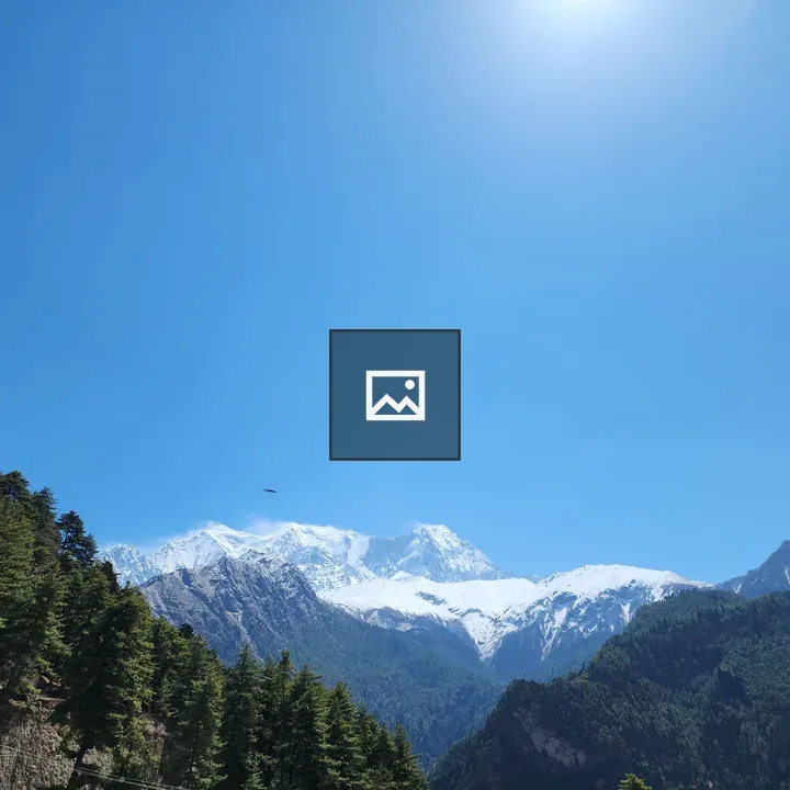 Bird over mountains in blue sky