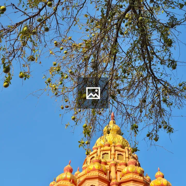 Golden temple dome scene
