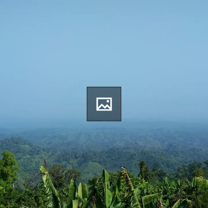 Sajek Forest Landscape