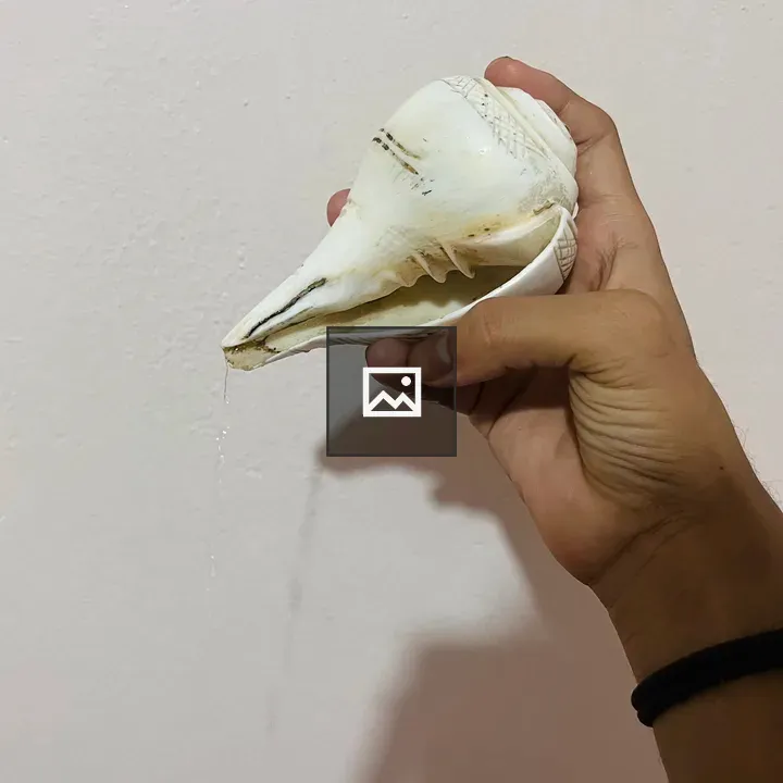 Seashell in Hand Portrait