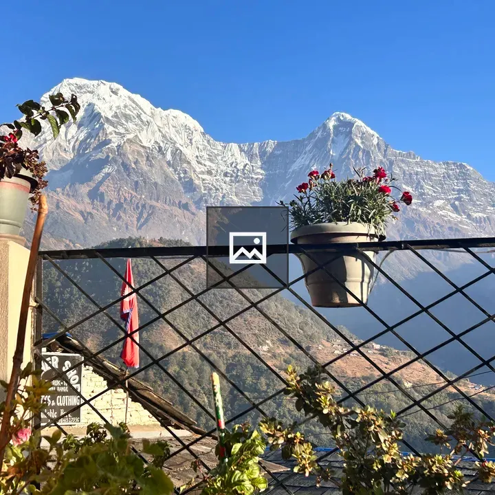 Floral delight with Annapurna panorama