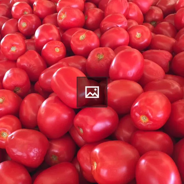 Red Tomatoes