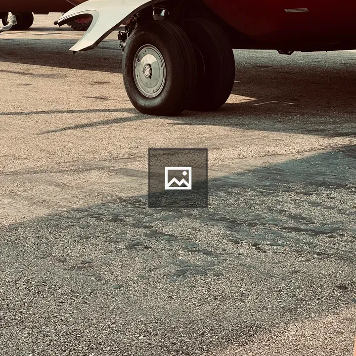 Dual-wheel main landing gear