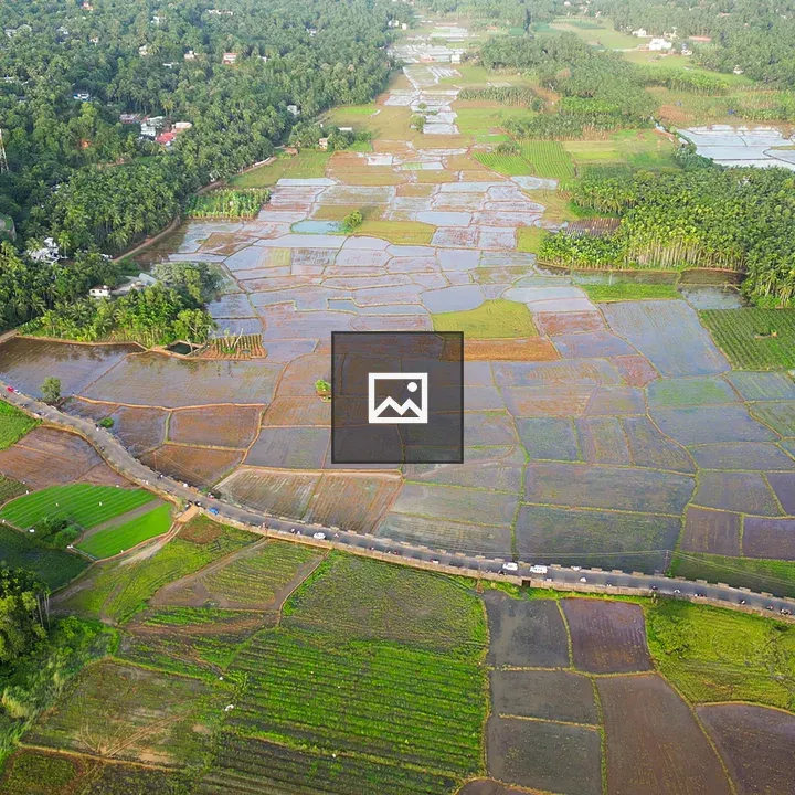 Fields filled with water