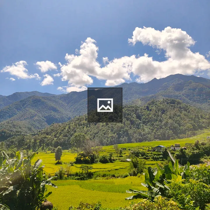 Panoramic Rice Fields and Mountains