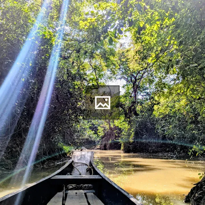 Boat on reflective water amid forest