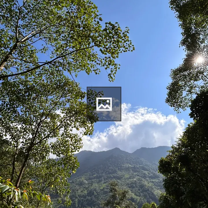 A scenic view of green hills