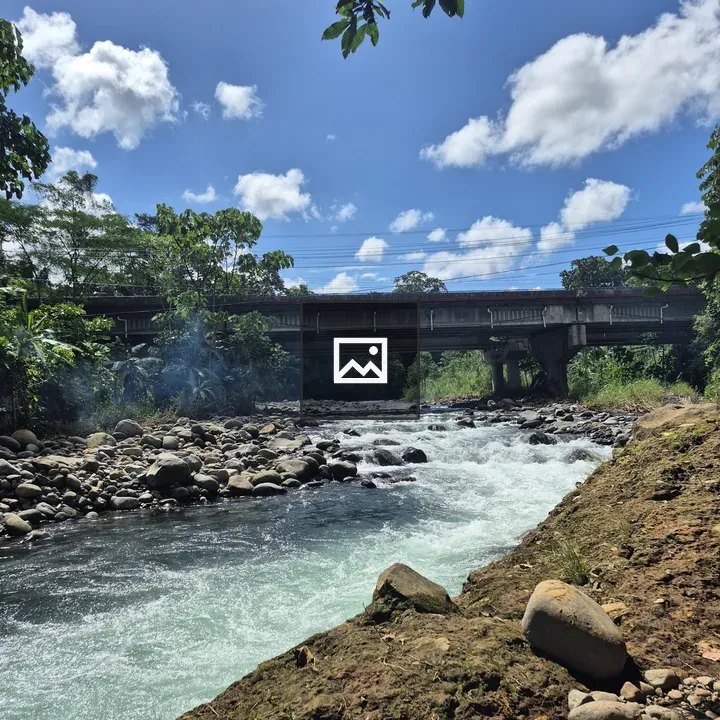 River under Bridge with Rocks and Greenery