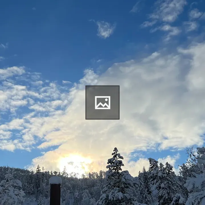 Afternoon sun over snow trees