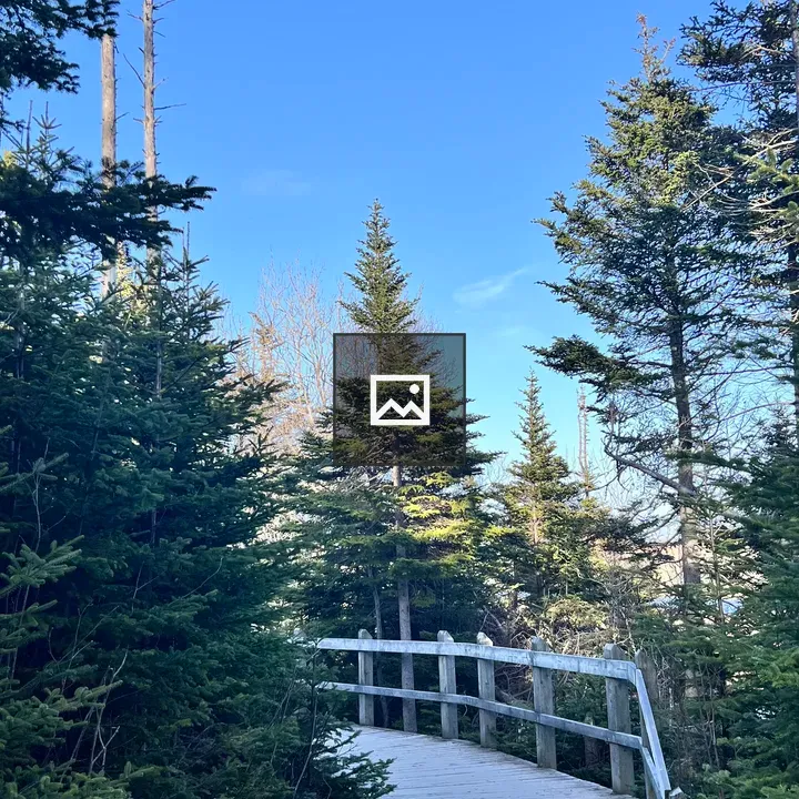 Boardwalk hiking trail in St. John's